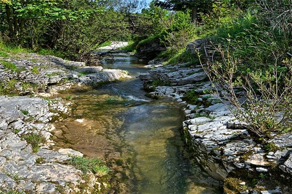 The meaning and symbol of spring water in dreams