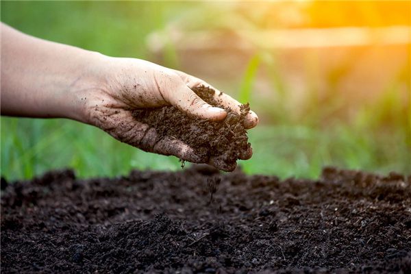 The meaning and symbol of eating mud by yourself in dreams