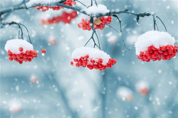 The meaning and symbol of snow in dreams