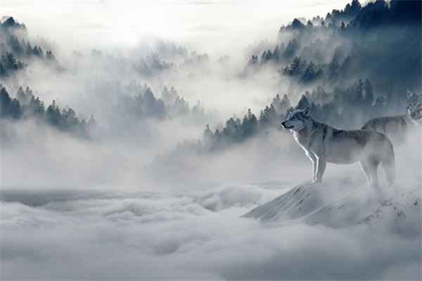 The meaning and symbolism of being surrounded by fog in a dream