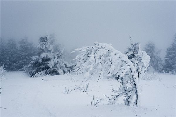 The meaning and symbolism of snowstorms in dreams