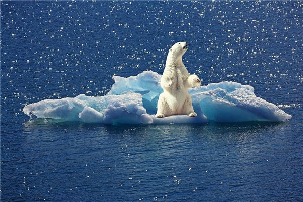 The meaning and symbolism of ice floes in dreams