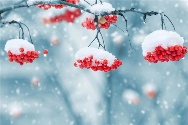 The meaning and symbolism of snow in dreams