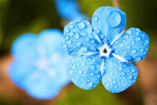 The meaning and symbol of spring drizzle in dreams