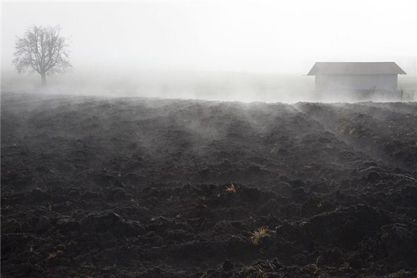 The meaning and symbol of the fog in the dream