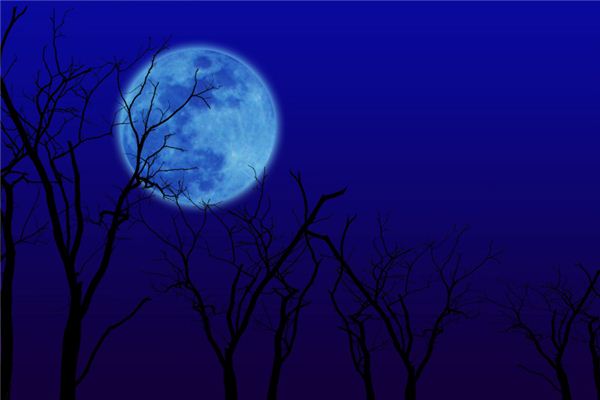 The meaning and symbol of the moon hanging in the treetops in the dream