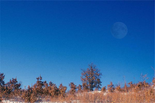 The meaning and symbol of the moon in the dream during the day