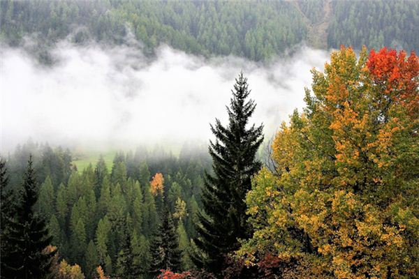 The meaning and symbol of rain on the mountains in the mountains