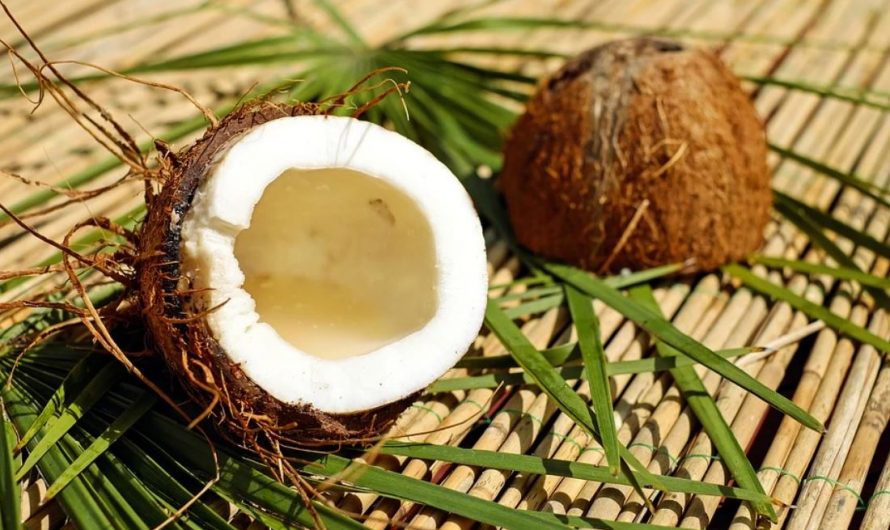 Dreaming of Coconuts -14 symbols and meanings