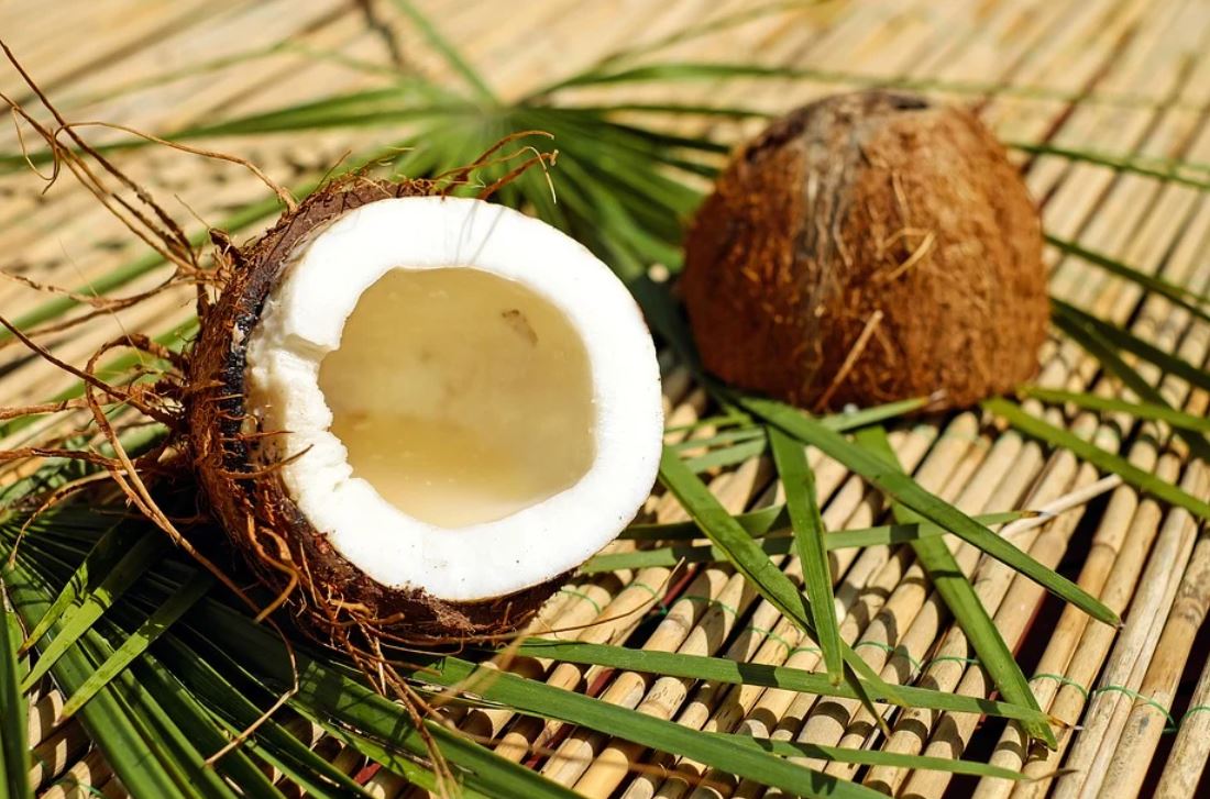 Dreaming of Coconuts