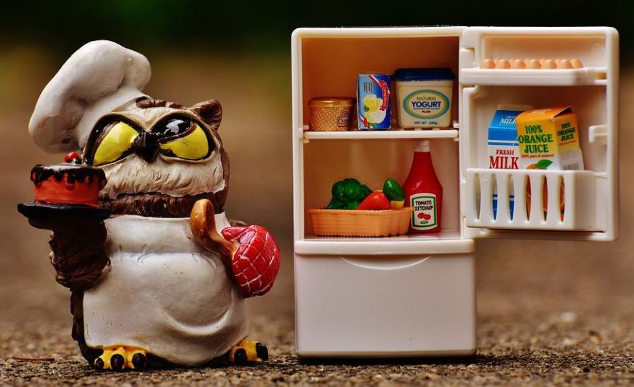 Dreaming of a refrigerator