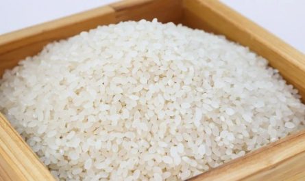 Dreaming of rice