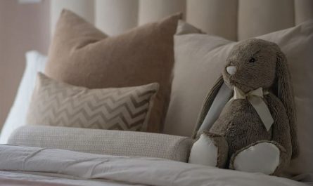 Dreaming of a pillow