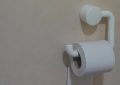 Dream about toilet paper