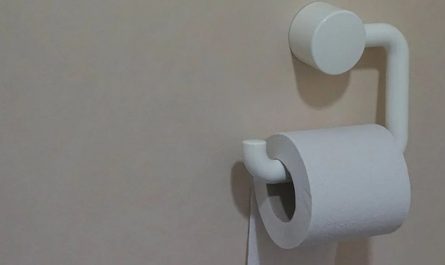 Dream about toilet paper