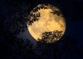 Dream about full moon