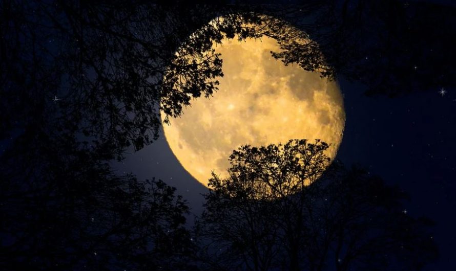 Dream about full moon – 17 symbols and meanings