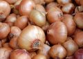 Dreaming of Onion (21 Symbols and Meanings)