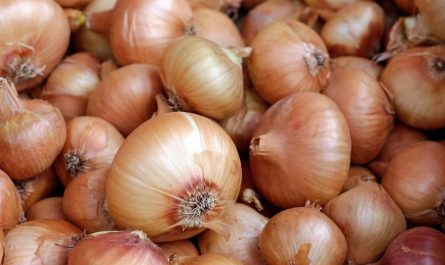 Dreaming of Onion (21 Symbols and Meanings)