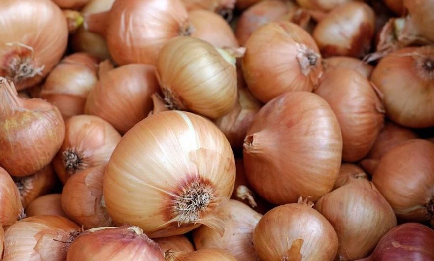 Dreaming of Onion (21 Symbols and Meanings)