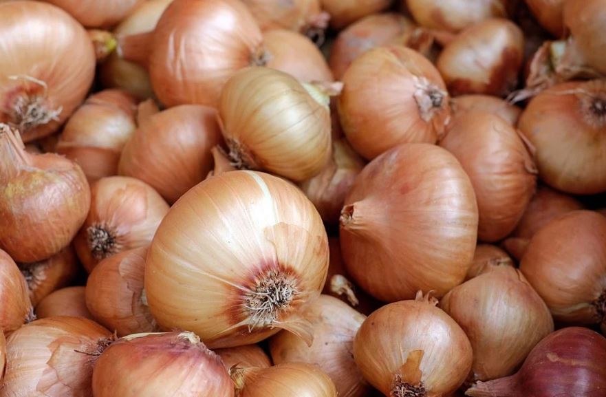 Dreaming of Onion (21 Symbols and Meanings)