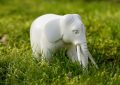 Dreaming of a White Elephant (7 symbolic meanings)