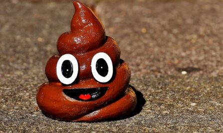 Dream about wiping poop(5 Symbols and Meanings)