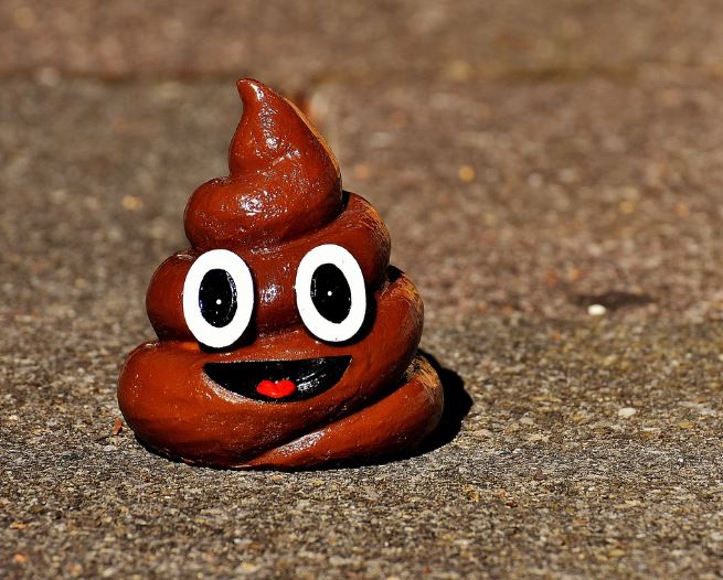 Dream about wiping poop(5 Symbols and Meanings)