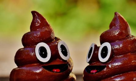 Dream about stepping on poop (5 Symbols and Meanings)