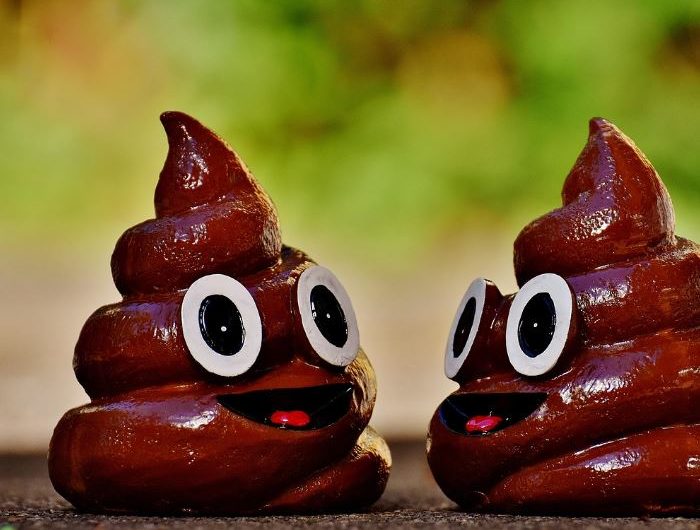 Dream about stepping on poop (5 Symbols and Meanings)
