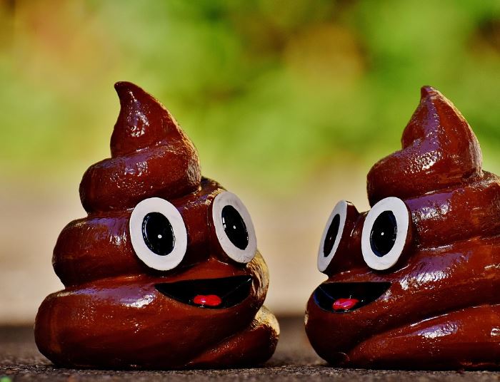Dream about stepping on poop (5 Symbols and Meanings)