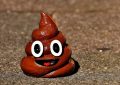 Dream about poop : 20 Symbols and Meanings