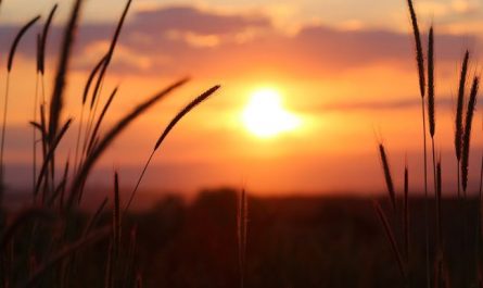 Dream about sunset down mountain : 12 Symbols and Meanings