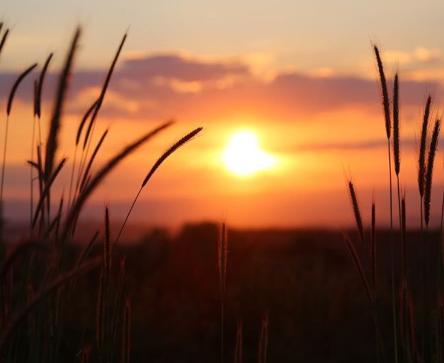 Dream about sunset down mountain : 12 Symbols and Meanings