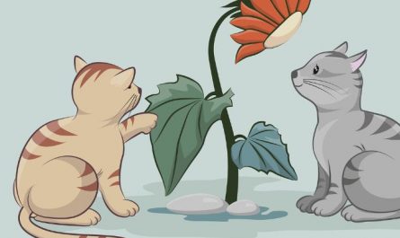 Dream about cats talking : 16 Symbols and Meanings