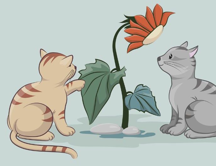 Dream about cats talking : 16 Symbols and Meanings