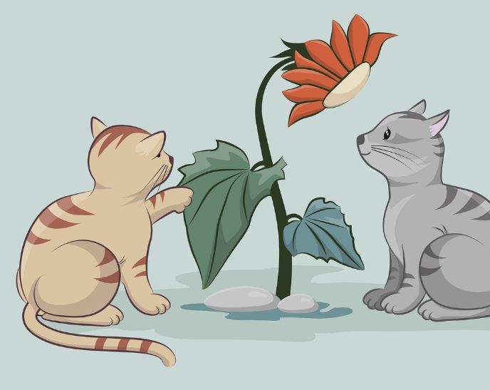 Dream about cats talking : 16 Symbols and Meanings