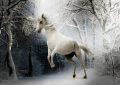 Dream about white horse : 32 Symbols and Meanings