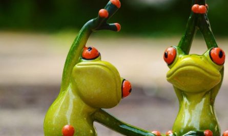 Dreaming of Catching Frogs : 16 Symbols and Meanings