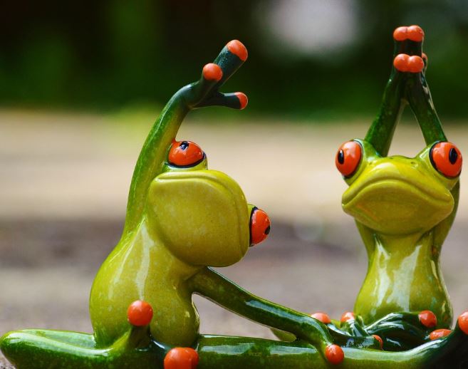 Dreaming of Catching Frogs : 16 Symbols and Meanings