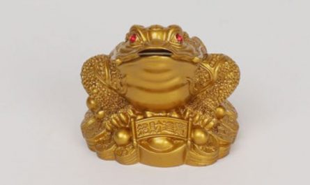 Dreaming of a Golden Toad : 16 Symbols and Meanings