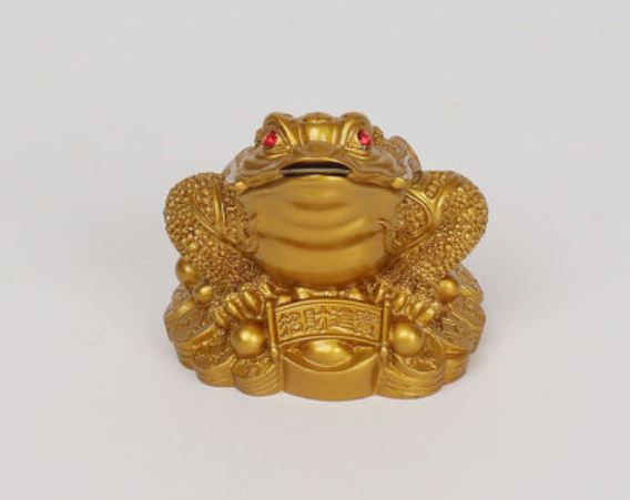 Dreaming of a Golden Toad : 16 Symbols and Meanings