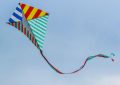 Dreaming of Kites : 8 Symbols and Meanings