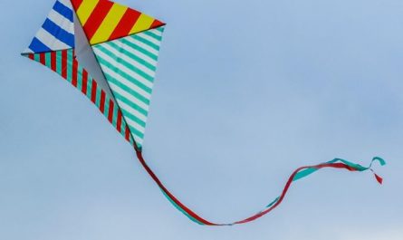 Dreaming of Kites : 8 Symbols and Meanings