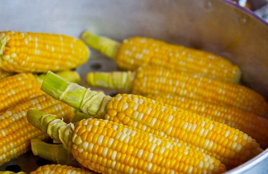 Dreaming of Corn : 16 Symbols and Meanings