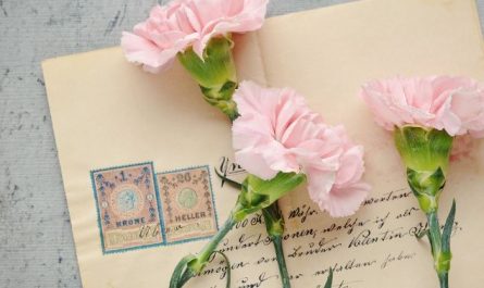 Dreaming of Receiving a Letter : 9 Symbols and Meanings
