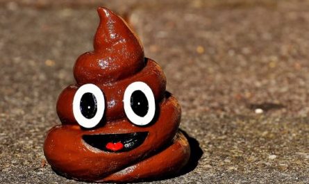 Dreaming of Diarrhea : 12 Symbols and Meanings