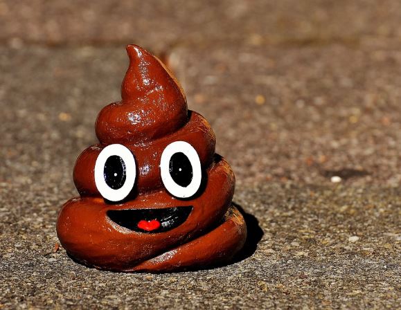 Dreaming of Diarrhea : 12 Symbols and Meanings