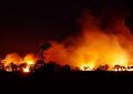 12 Symbolic Meanings of Dreaming of Wildfires