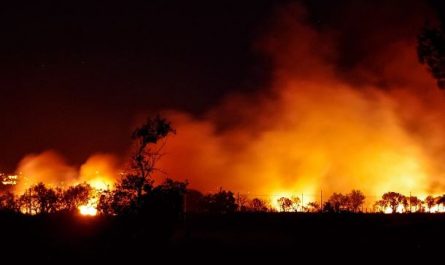 12 Symbolic Meanings of Dreaming of Wildfires